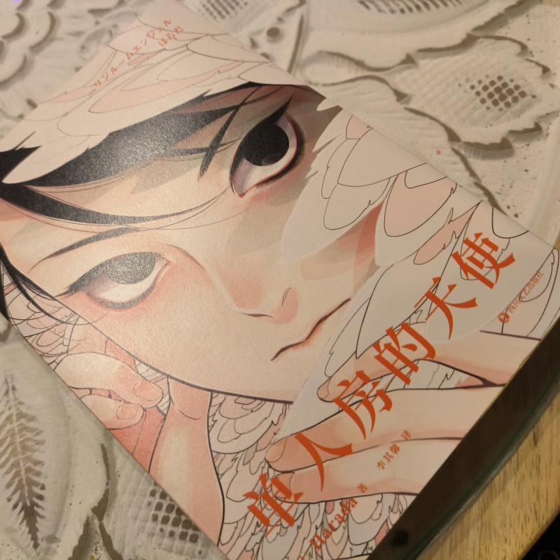 Japanese Lifestyle Books - 일본 싱글룸 엔젤 오리지널 만화책 하라다